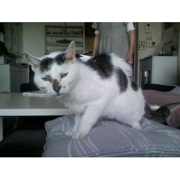 トロちゃん トロちゃん