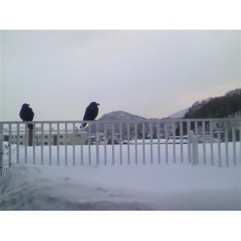 かあちゃん夫婦 かあちゃん夫婦