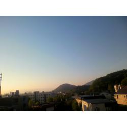 今日朝　円山
